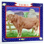 Taurus by Catherine Bradbury