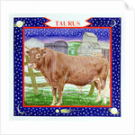 Taurus by Catherine Bradbury
