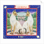 Gemini by Catherine Bradbury