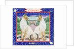 Gemini by Catherine Bradbury