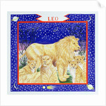 Leo by Catherine Bradbury