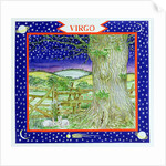 Virgo by Catherine Bradbury