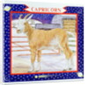 Capricorn by Catherine Bradbury