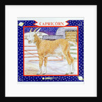 Capricorn by Catherine Bradbury