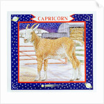 Capricorn by Catherine Bradbury