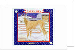 Capricorn by Catherine Bradbury