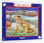 Aquarius by Catherine Bradbury