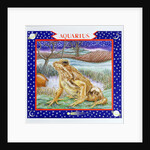 Aquarius by Catherine Bradbury