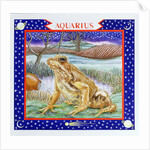 Aquarius by Catherine Bradbury