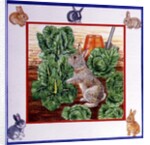 A Rabbit in the Cabbage Patch by Catherine Bradbury