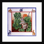 A Rabbit in the Cabbage Patch by Catherine Bradbury