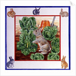 A Rabbit in the Cabbage Patch by Catherine Bradbury