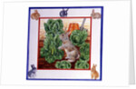 A Rabbit in the Cabbage Patch by Catherine Bradbury
