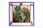 A Rabbit in the Cabbage Patch by Catherine Bradbury