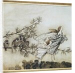 The Fairies have their Tiff with the Birds, 1906 by Arthur Rackham