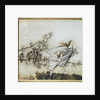 The Fairies have their Tiff with the Birds, 1906 by Arthur Rackham