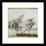 The Fairies have their Tiff with the Birds, 1906 by Arthur Rackham