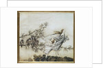 The Fairies have their Tiff with the Birds, 1906 by Arthur Rackham