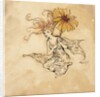 Daisy Fairy by Arthur Rackham