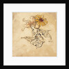Daisy Fairy by Arthur Rackham