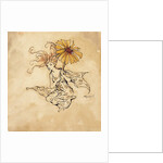 Daisy Fairy by Arthur Rackham