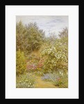 Roses in a Surrey Garden by Helen Allingham