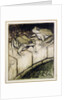 The Frogs and the Well by Arthur Rackham
