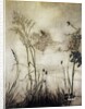 The Fairies are Exquisite Dancers, illustration in 'Peter Pan in Kensington Gardens' by J.M Barrie 1906 by Arthur Rackham