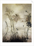 The Fairies are Exquisite Dancers, illustration in 'Peter Pan in Kensington Gardens' by J.M Barrie 1906 by Arthur Rackham