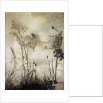 The Fairies are Exquisite Dancers, illustration in 'Peter Pan in Kensington Gardens' by J.M Barrie 1906 by Arthur Rackham