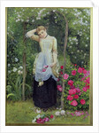 The Rose Bower, 1877 by Edward Killingworth Johnson