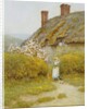 A Dorsetshire Cottage by Helen Allingham