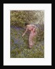 Gathering Bluebells by Helen Allingham