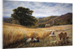 Harvest time near Holmbury Hill, Surrey, 1865 by George Vicat Cole