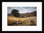 Harvest time near Holmbury Hill, Surrey, 1865 by George Vicat Cole