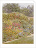 Gertrude Jekyll's Garden, Munstead Wood, Surrey by Helen Allingham