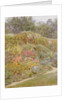 Gertrude Jekyll's Garden, Munstead Wood, Surrey by Helen Allingham