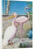 Pelican and Flamingo by Henry Stacy Marks