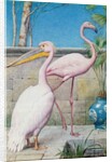 Pelican and Flamingo by Henry Stacy Marks
