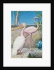 Pelican and Flamingo by Henry Stacy Marks