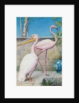 Pelican and Flamingo by Henry Stacy Marks