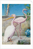 Pelican and Flamingo by Henry Stacy Marks
