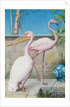 Pelican and Flamingo by Henry Stacy Marks