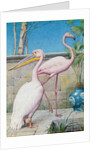Pelican and Flamingo by Henry Stacy Marks