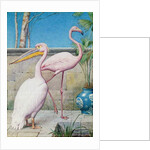 Pelican and Flamingo by Henry Stacy Marks