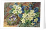 Primroses and a bird's nest by Thomas Frederick Collier