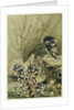 Alberich drives in a band of Nibelungs laden with gold and silver treasure by Arthur Rackham