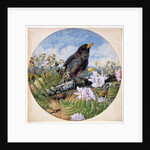 Blackbird, 1864 by Harrison William Weir