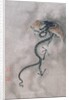 CBC 1839 A winged dragon, from an album of 12 depicting animals and birds, Chinese by Jiao Bingzhen