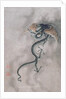 CBC 1839 A winged dragon, from an album of 12 depicting animals and birds, Chinese by Jiao Bingzhen